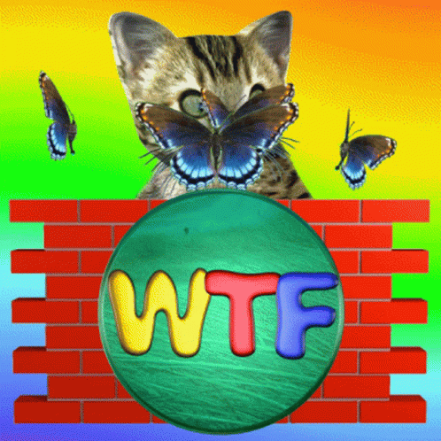 Wtf Wtf Is Going On GIF - Wtf Wtf Is Going On What Is Going On GIFs