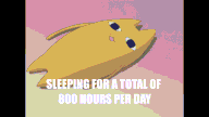 a pixel art drawing of a cat with the words sleeping for a total of 800 hours per day below it