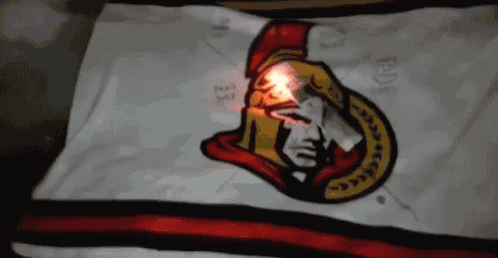 a flag with a spartan on it is lit up