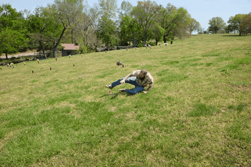 a man is laying on the grass in a field of sheep