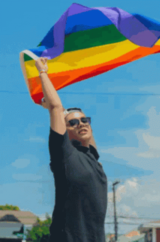 Pride Flag Waving The Flag GIF