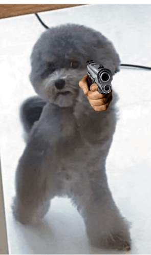 Dog Gun GIF - Dog Gun GIFs