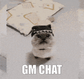 a cat wearing a cow hat with the words gm chat written below it