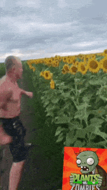 a man is running in a field of sunflowers next to a plants vs zombies poster