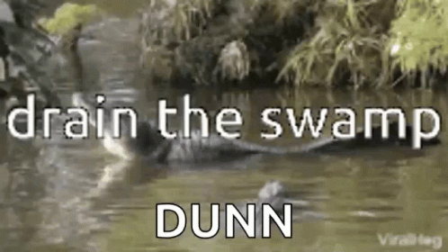 Drain Swamp GIF - Drain Swamp Bayou GIFs