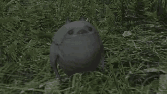 a small black bird is standing in the grass in a field .