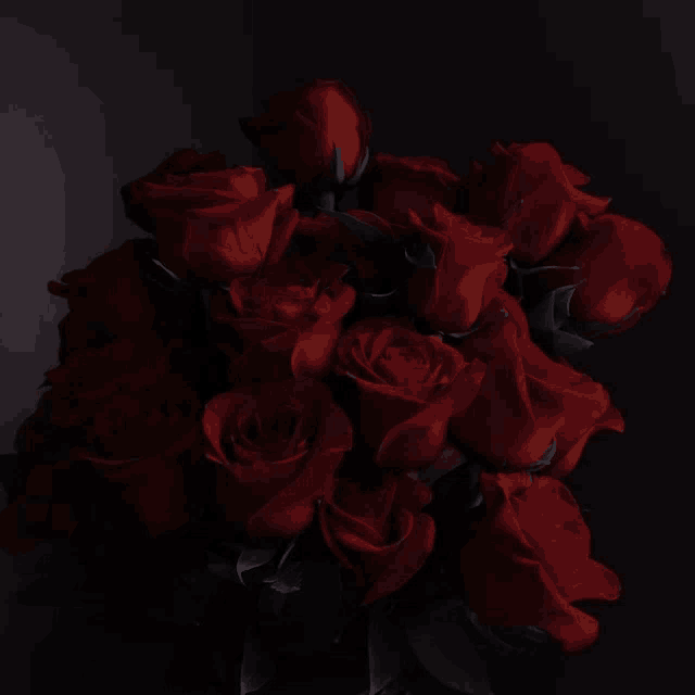 a bunch of red roses are in a dark room