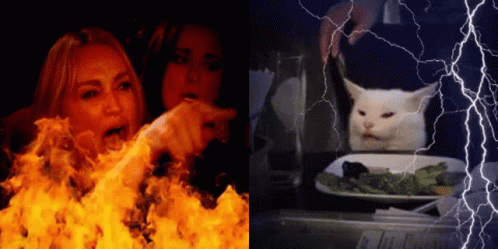 Woman Yelling At Cat Heaven And Hell GIF - Woman Yelling At Cat Heaven And Hell Smudge GIFs
