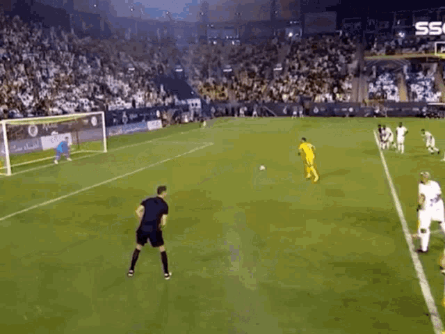 a soccer game is being played in front of a crowd and a sign that says ss on it