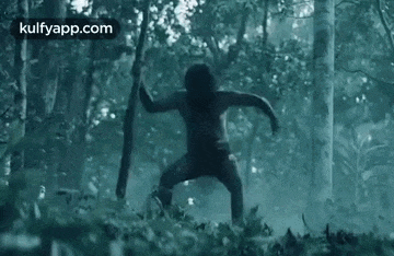 a person is standing in the middle of a forest holding a stick .
