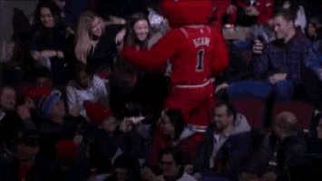 a bulls mascot is dancing in the stands