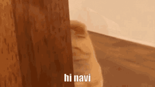 a cat peeking out from behind a wooden door with the words hi navi above it