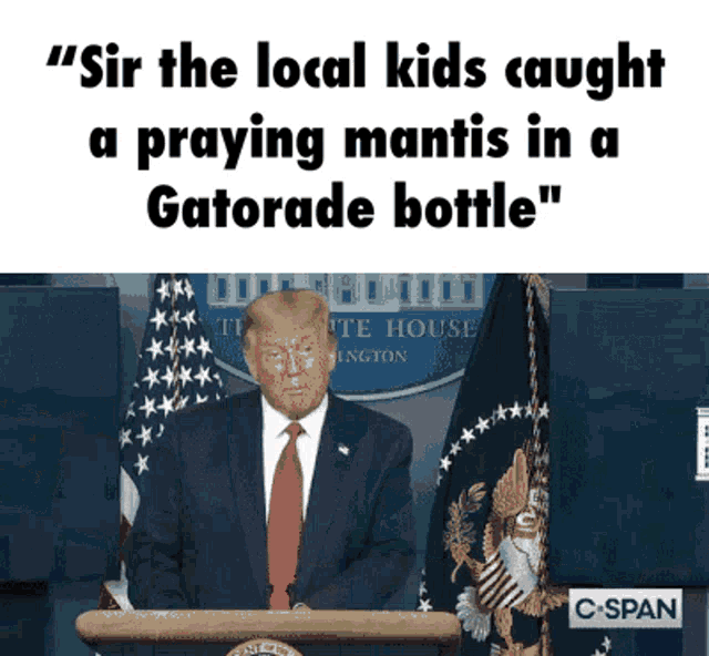 a picture of donald trump with the caption sir the local kids caught a praying mantis