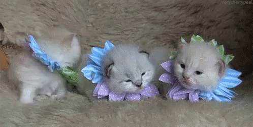 Spring Time Cute GIF - Spring Time Cute Baby GIFs