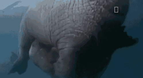 Mother Care GIF - Mother Care Love GIFs