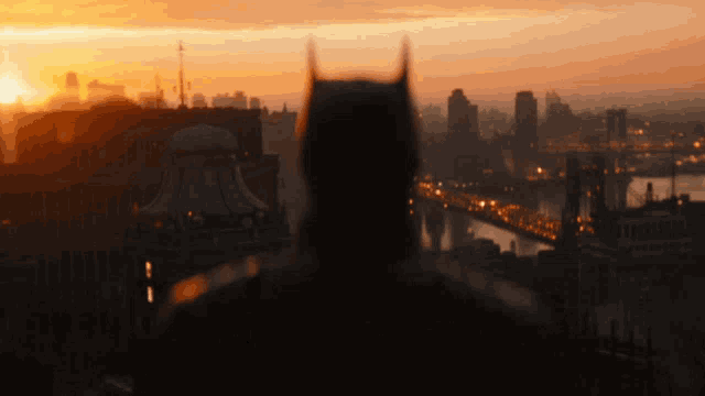 a man in a batman costume stands in front of a sunset over a city