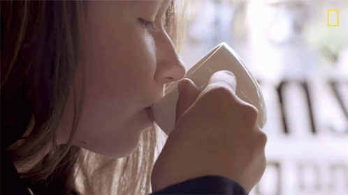 Drinking Coffee National Geographic GIF - Drinking Coffee National Geographic Morning Coffee GIFs