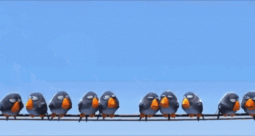 Pigeon GIF - Pixar Birds GIFs