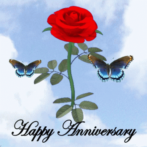 Happy Anniversary Anniversary Rose GIF - Happy Anniversary Anniversary Rose Anniversary Butterflies GIFs