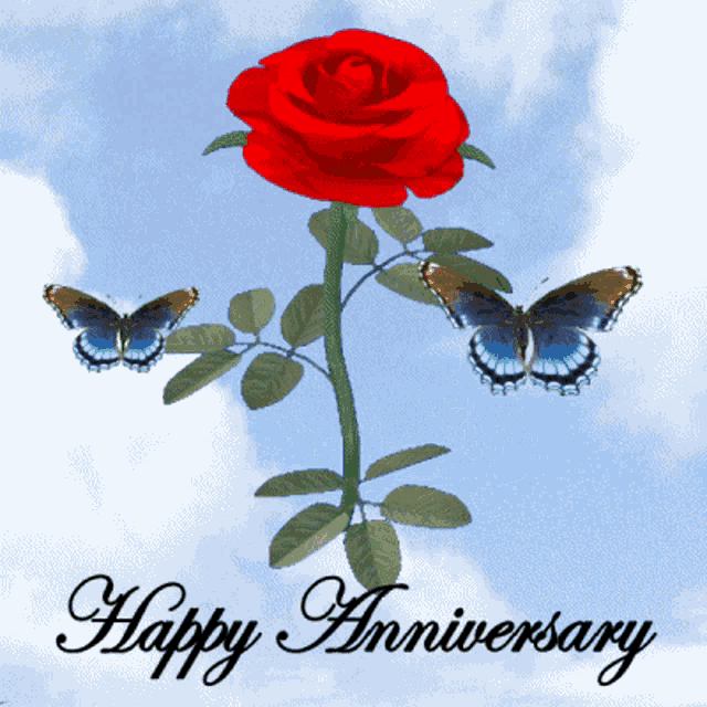 a red rose with butterflies and the words happy anniversary below it