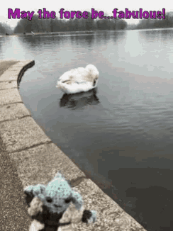 a picture of a swan in a lake with the words may the force be fabulous above it
