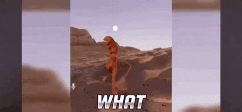 a screenshot of a video game with the words what on it
