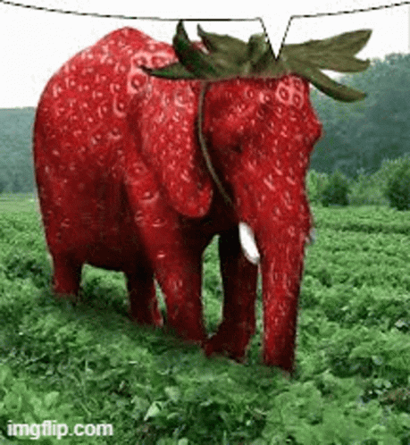 Strawberry Elephant GIF - Strawberry Elephant GIFs