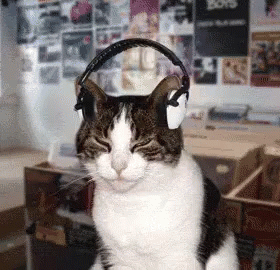 Cat Jamming GIF - Cat Headphones Jam GIFs