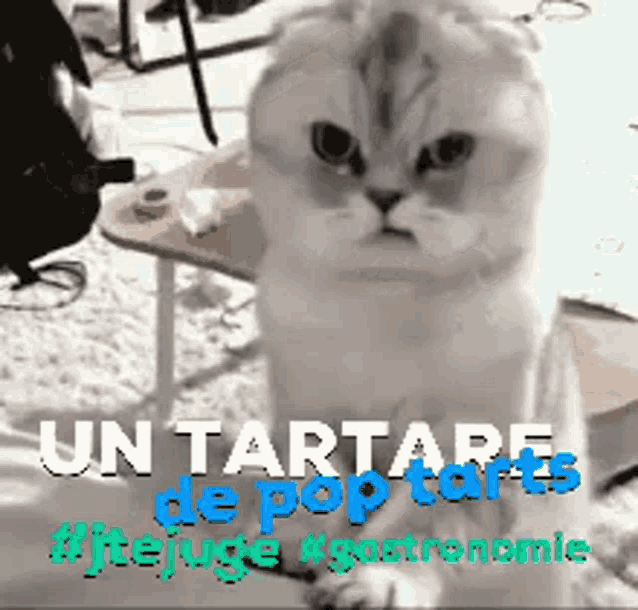 Tartare Pop Tarts Cat GIF - Tartare Pop Tarts Cat De Pop Tarts GIFs