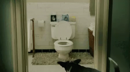 廁所 馬桶 狗狗 尿尿 GIF - Toilet Bathroom Dog GIFs