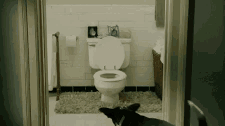a black dog is standing in front of a toilet in a bathroom .