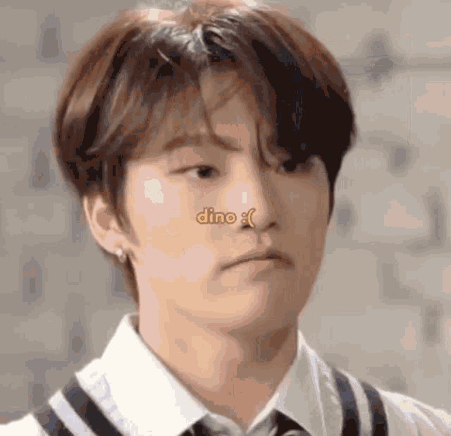 a close up of a young man 's face with the word dino written on it .