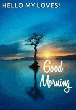 a picture of a tree in the middle of a body of water with the words hello my loves and good morning