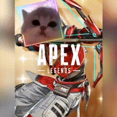 a person holding a bow and arrow with a cat behind them .