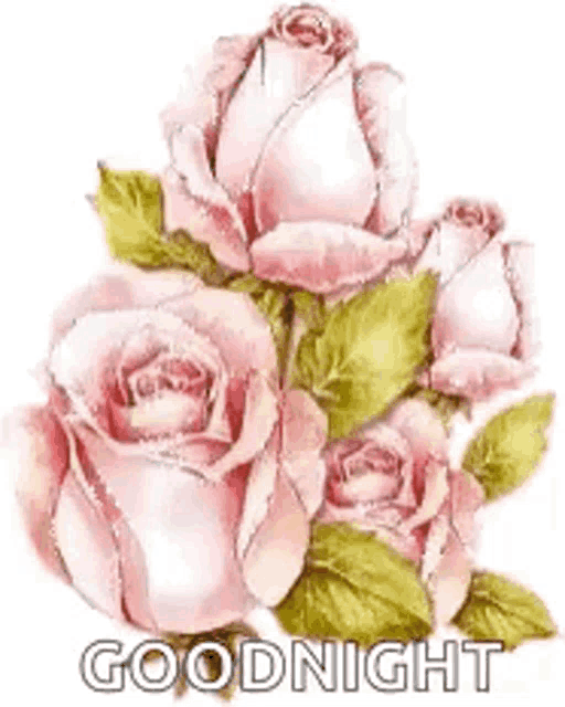 a bunch of pink roses with green leaves on a white background with the words `` goodnight '' written on it .