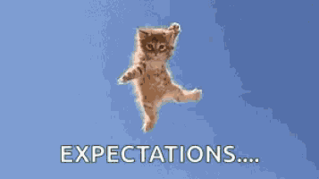 a woman in a blue dress is holding a kitten in her arms and says `` expectations ... '' .