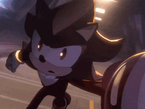 shadow the hedgehog is running down the street