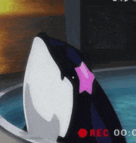 a whale with a pink star on its head is being recorded in a pool