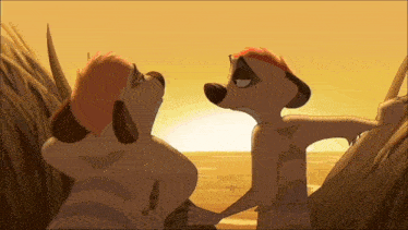 a couple of meerkats standing next to each other with the sun behind them