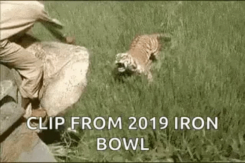 Iron Bowl Tigers Clip GIF - Iron Bowl Tigers Clip Bite GIFs