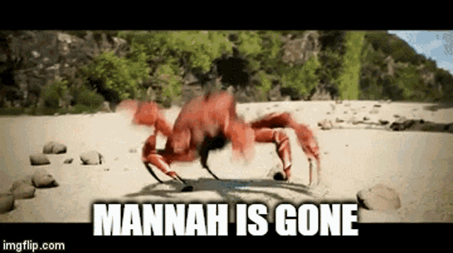 a crab is on a beach with the words mannah is gone below it