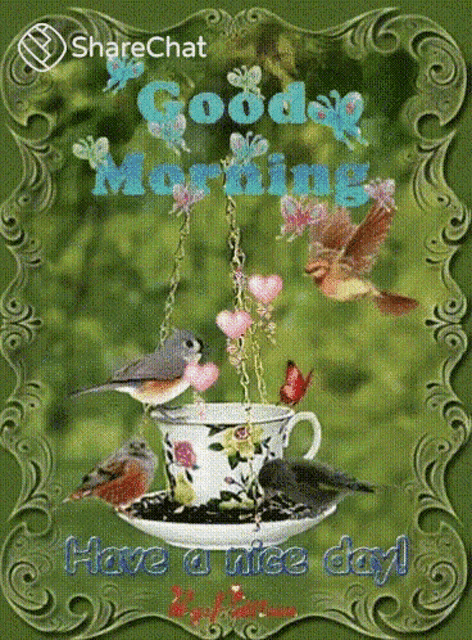 a picture of birds in a cup with the words good morning have a nice day