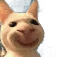 a close up of a cat 's face with a big smile on it 's face .