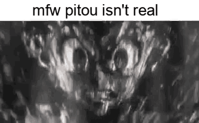 a black and white photo of a person 's face with the words `` mfw pitou isn 't real '' written on it