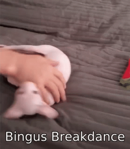 Bingus Break Dancer GIF - Bingus Break Dancer GIFs