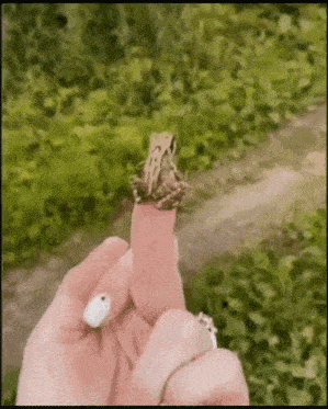 Finger Frog GIF - Finger Frog Jump GIFs