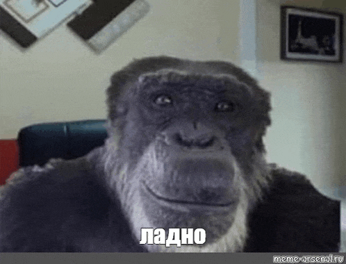 a chimpanzee with a beard is sitting on a couch .