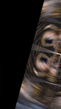 a blurry image of a person 's face with the number 8 in the middle