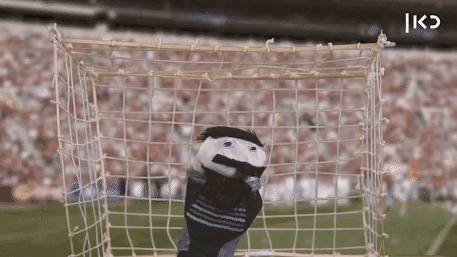 a sock puppet is behind a soccer net with the letters kd on the bottom right