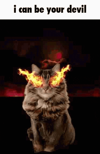 a cat with fire coming out of its eyes and the words `` i can be your devil ''